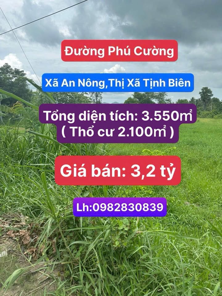 Đất nền Tịnh Biên, An Giang 3550m² - Mặt tiền rộng, giá đầu tư 3.2 tỷ