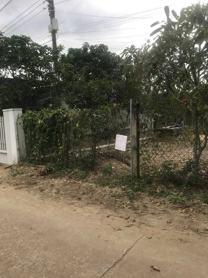 Đất Diên Đồng, Diên Khánh 431.8m² - Sổ sách sẵn, giá đầu tư