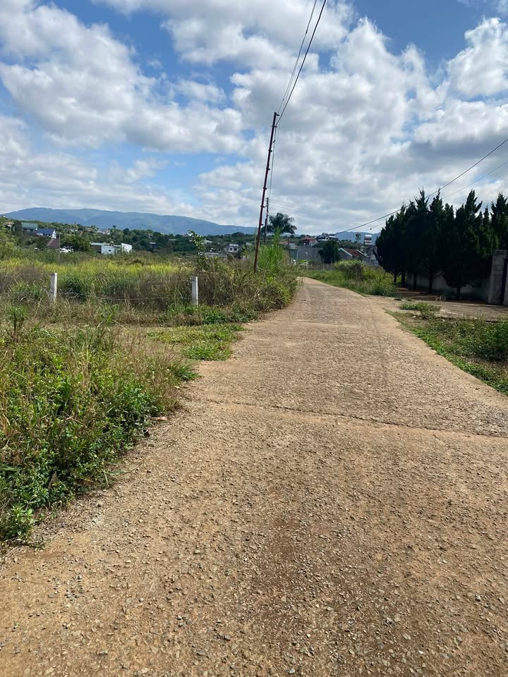 Bán Đất Lâm Hà, Lâm Đồng 12800m² - Mặt Đường Bê Tông Rộng 42m, Giá Đầu Tư 3.84 Tỷ