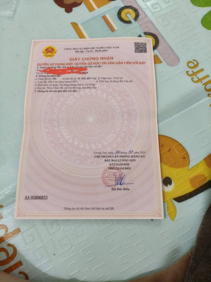 Đất nền Cao Dương, Lương Sơn 125m² - Sổ đỏ chính chủ