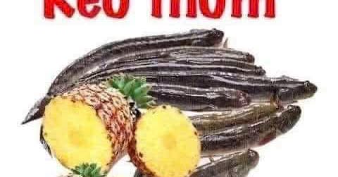 Bán Gấp Đất Mặt Tiền Trại Rau, Phú Giáo 324m² - Giá 1.2 Tỷ