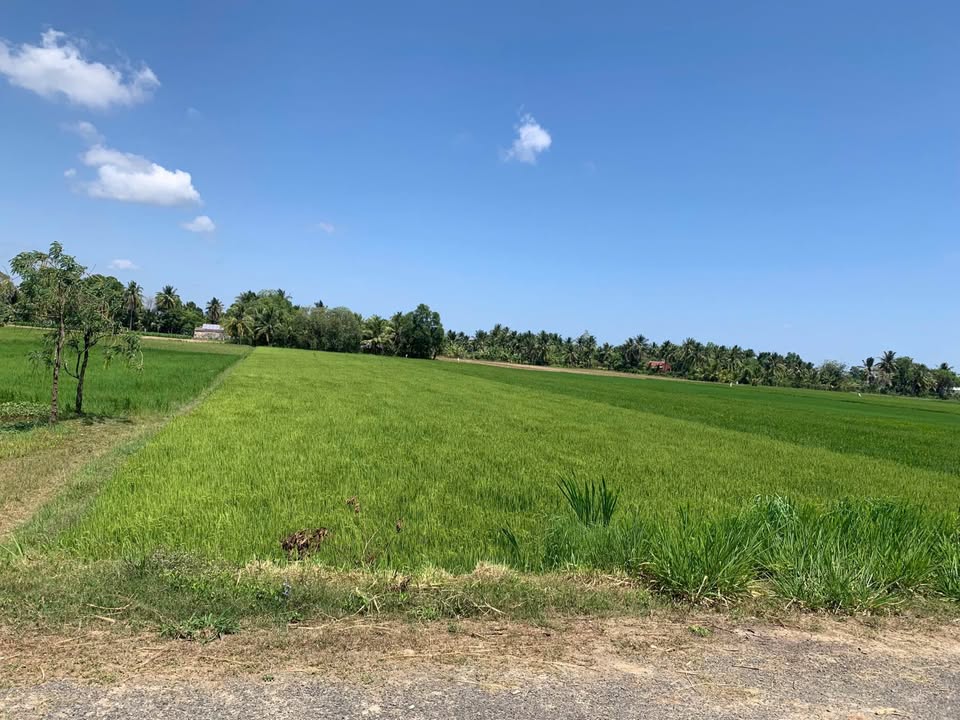 Đất mặt tiền Trà Vinh 3600m² - Tiềm năng tăng giá vượt trội!