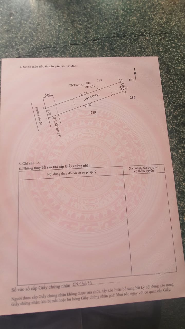 Đất nền Long Hòa Cần Giờ 195m² giá 520 triệu - Sổ hồng chính chủ!