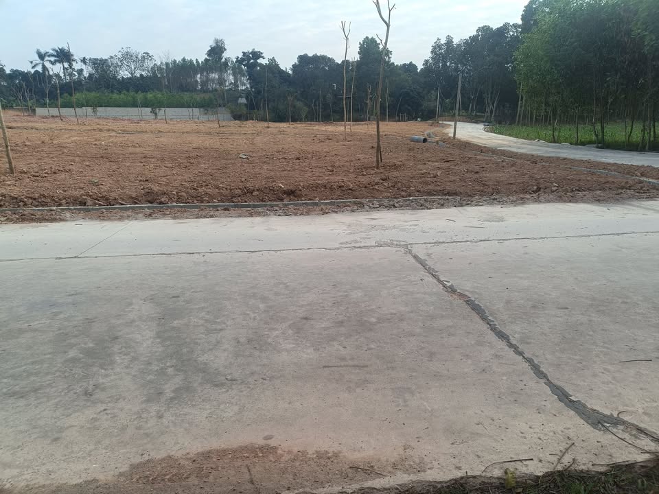 Đất nền Yên Thế 1600m² - Mặt tiền rộng, gần trung tâm - Sổ đỏ sẵn sàng