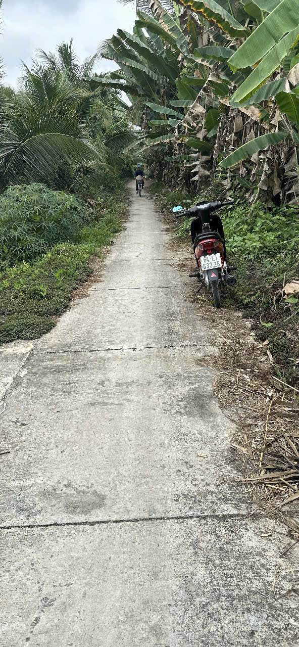 Bán Đất Vườn Vĩnh Long 3792.8m² - Sổ Thổ Cư, View Sông Mát Mẻ