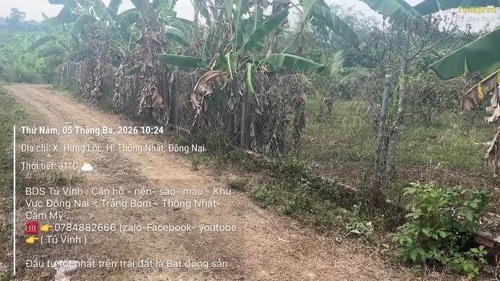 Đất Vườn Xã Lộ 25 Thống Nhất 1500m² - Sổ Đỏ Chính Chủ, Lô Góc Đẹp!