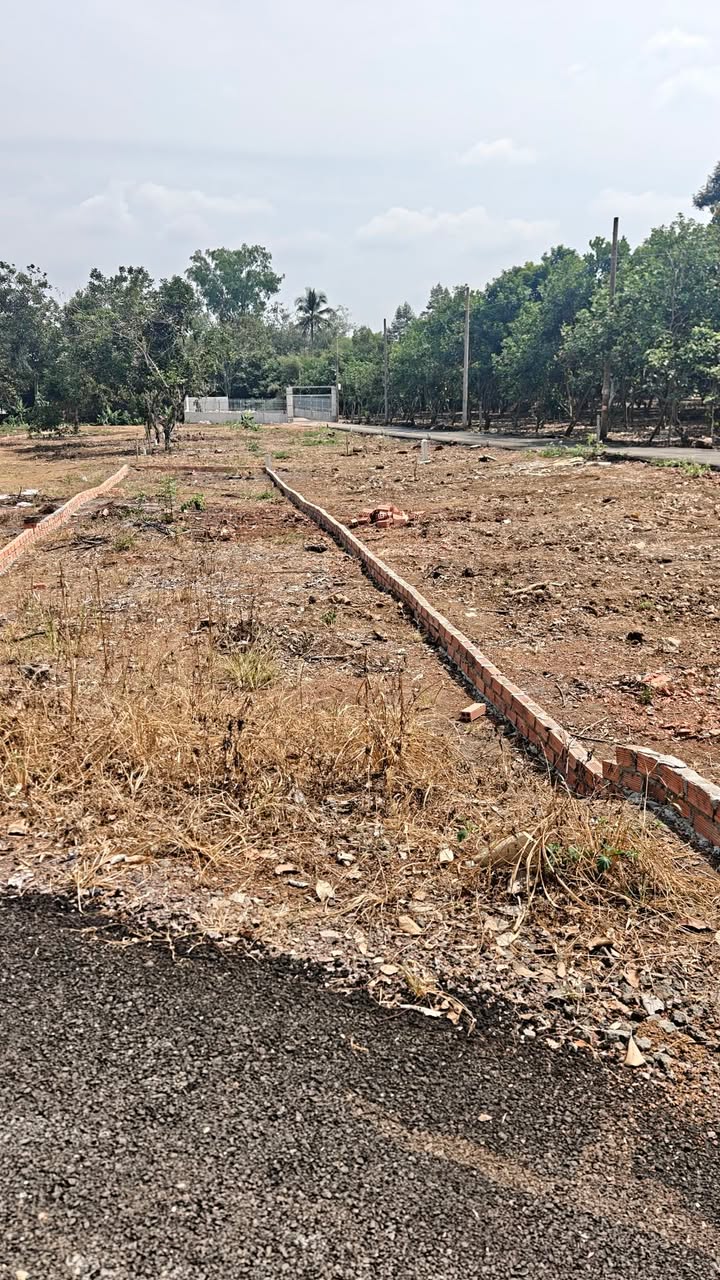 Đất Nền Mặt Tiền Nhựa Xã Bình Lộc, Long Khánh - 330m² Sổ Hồng Riêng