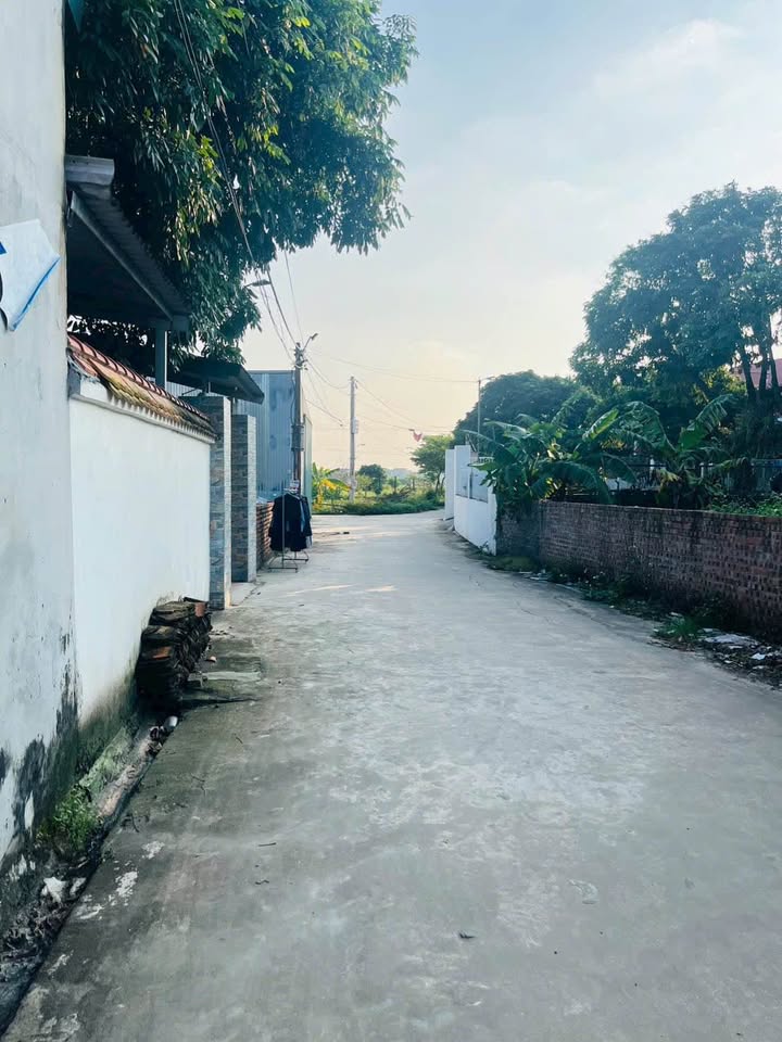 Bán Đất Sóc Sơn 262m² - Giá Đầu Tư Hấp Dẫn, Sổ Đỏ Thổ Cư