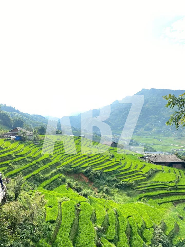 Đất Vàng Tả Van 900m² - View Núi & Ruộng Bậc Thang, Sẵn Sàng Xây Dựng