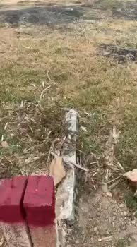 Bán Đất Nền Đại Cát 2, Ninh Phụng 83.7m² Thổ Cư 100% - Giá Chỉ 5xx Triệu