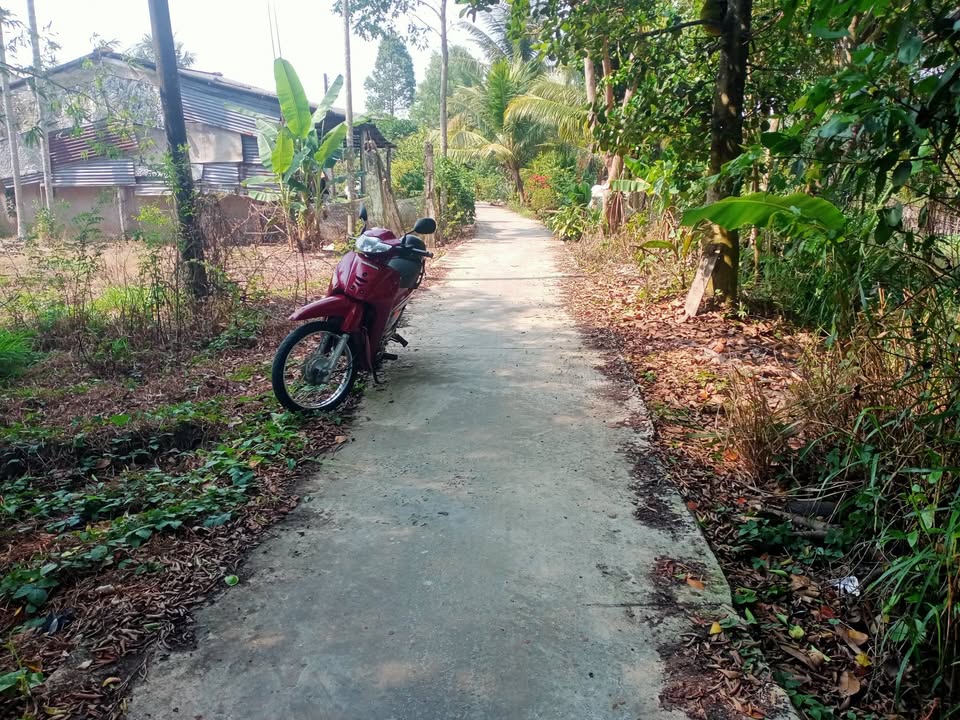 Đất nền Thới Lai Cần Thơ 6000m² - Tiềm năng tăng giá vượt trội!