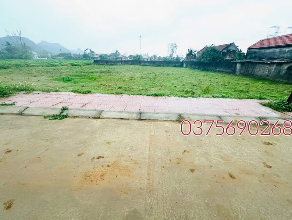 Bán Đất Nền Nga Thiện, Nga Sơn, Thanh Hóa - 90m² - Gần Tỉnh Lộ, Giá Chỉ 2xx Triệu