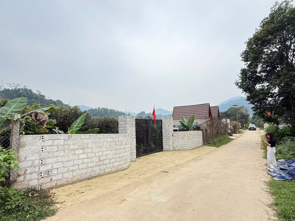 Đất nền Yên Bài, Ba Vì 620m² - Tiềm năng tăng giá vượt trội!