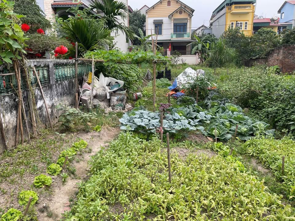 Đất nền Mê Linh 43m² full thổ cư - Sẵn sàng xây nhà đón đầu tiềm năng