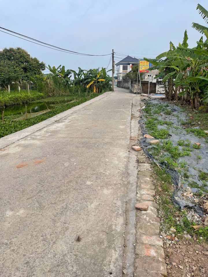 Đất nền Nam Bình, Kiến Xương 89m² - Đường to ô tô, Sổ đỏ sẵn sàng!