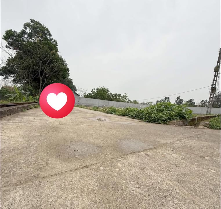 Bán Gấp Đất Bắc Lý, Hiệp Hòa, Bắc Giang - 116m² Giá 800 Triệu