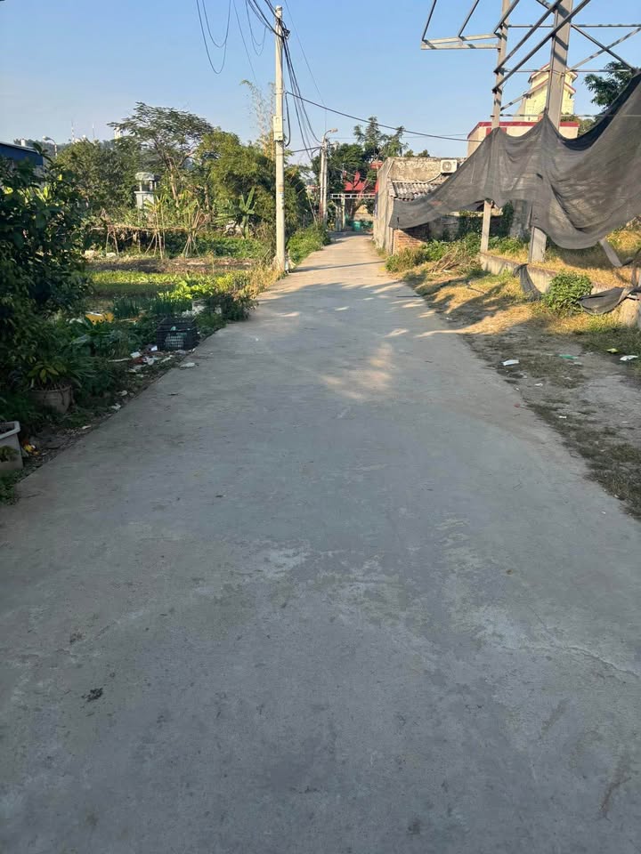 Bán đất 44m² Lưu Úc, Kiến An, Hải Phòng - Sổ đỏ chính chủ, ô tô đỗ cửa