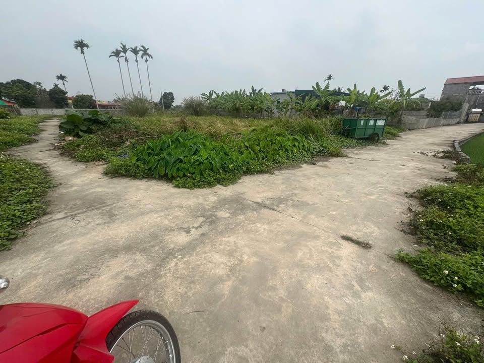 Đất nền góc 150m² tại Xã Quyết Thắng, Kiến An, Hải Phòng - Sẵn sàng xây nhà