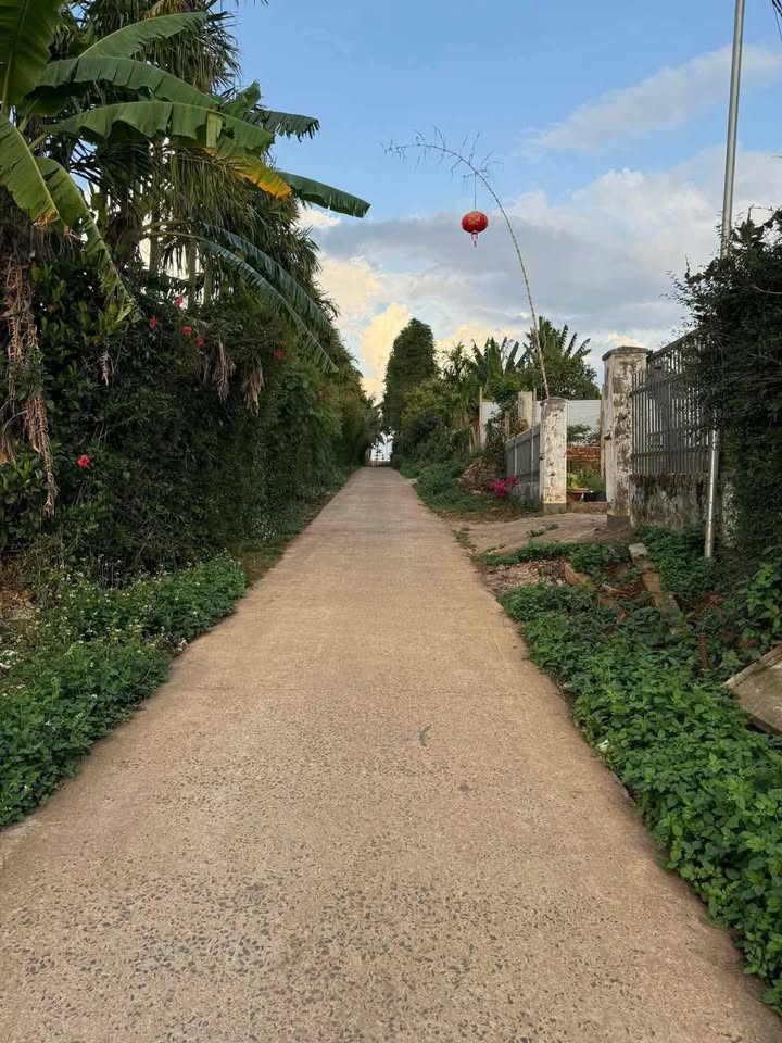 Bán Gấp 2 Lô Đất Liền Kề Đặng Thai Mai, Buôn Hồ - 275m² Hướng Bắc