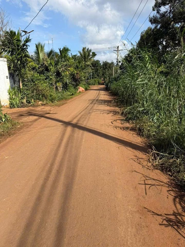 Đất nền Đạt Hiếu, Buôn Hồ 260m² - Sổ đỏ chính chủ