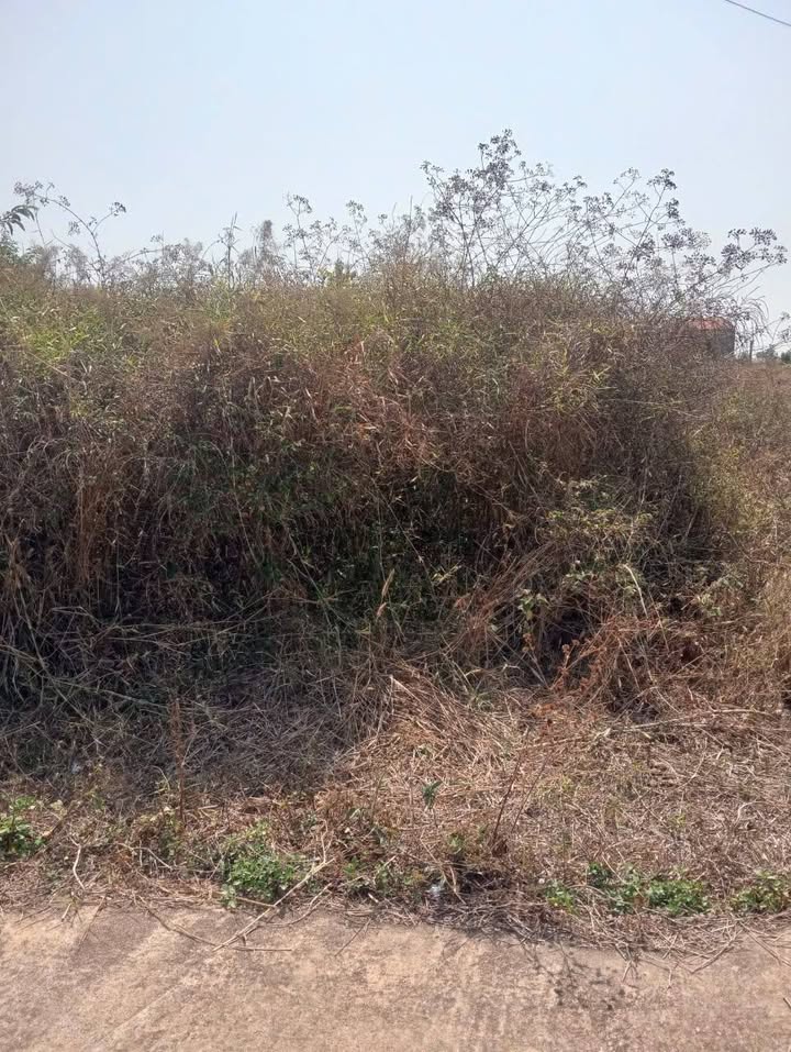 Đất nền Ea Nam 480m² - Sổ đỏ chính chủ, tiềm năng tăng giá!