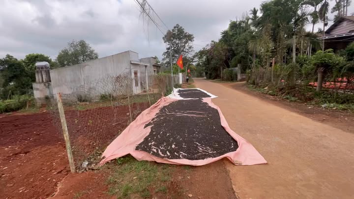 Đất Nền Đức Mạnh, Đắk Mil 196m² giá 630 triệu - Sổ đỏ chính chủ