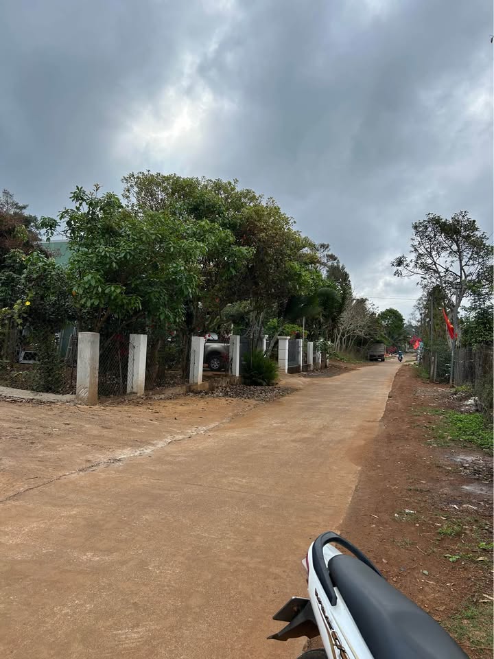 Đất Nền Đức Mạnh - 196m² - Sổ Đỏ Vuông Vắn, Gần QL, Giá 630 Triệu