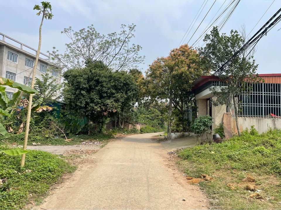 Đất Vàng Mặt Đường Triệu Phúc Lịch - 100m² Giá 2 Tỷ - Hòa Bình