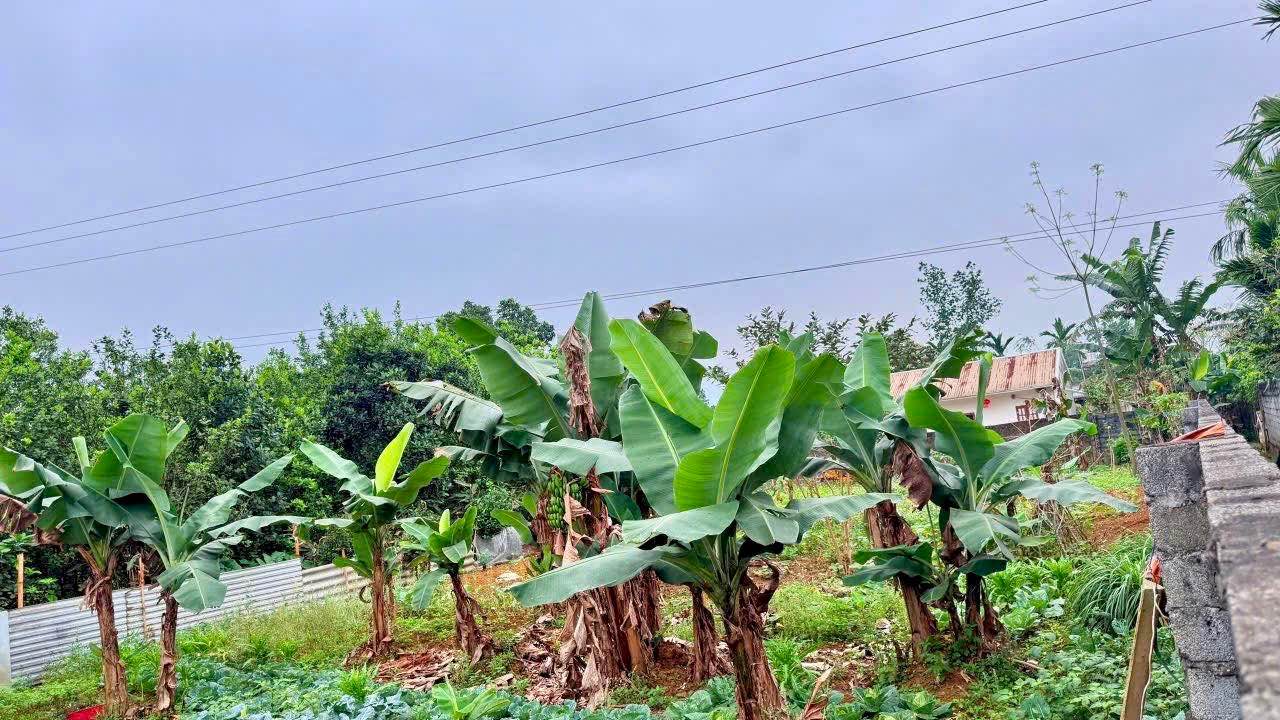 Bán Đất Vĩnh Tiến Kim Bôi 322m² Sổ Đỏ 100% Thổ Cư - Giá 360 Triệu