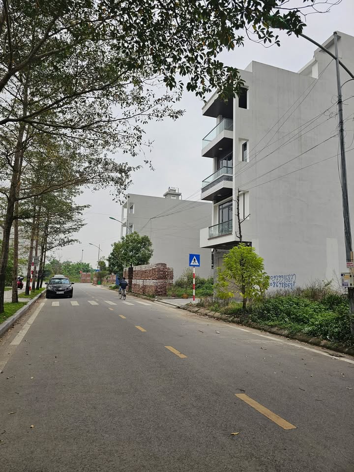 Đất nền Đường Tạ Thục Bình 80m² – Tiềm năng tăng giá vượt trội!