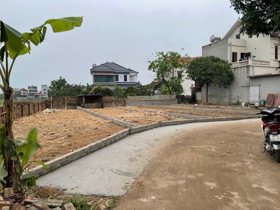 Đất nền TDP Thống Nhất, Gia Bình 115m² - Tiềm năng tăng giá!