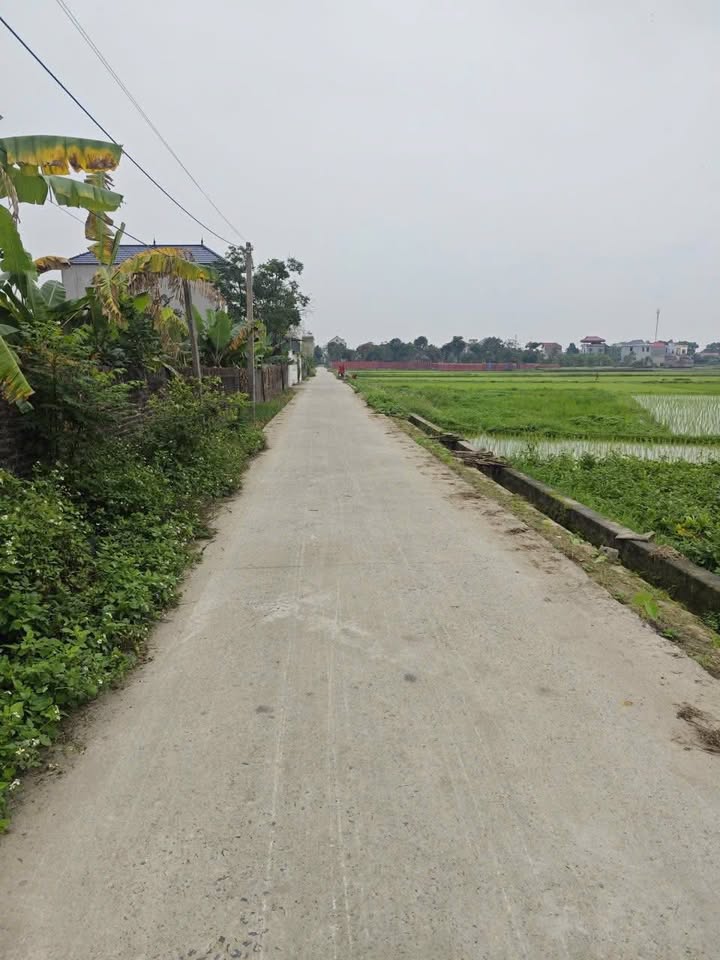 Bán đất Bắc Lý, Hiệp Hòa 110m² - Sổ đỏ, mặt tiền rộng, gần KCN