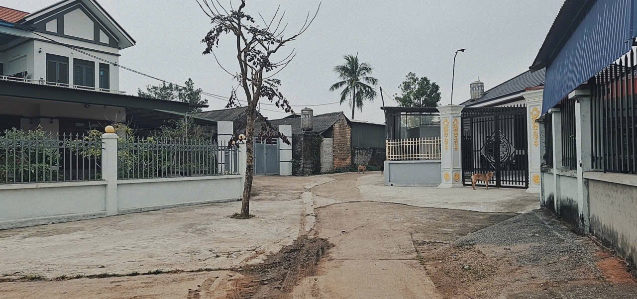 Bán Đất Nền Hiệp Hòa, Bắc Giang 160m² - Sổ Đỏ Vuông Vắn, Giá Chỉ 600 Triệu