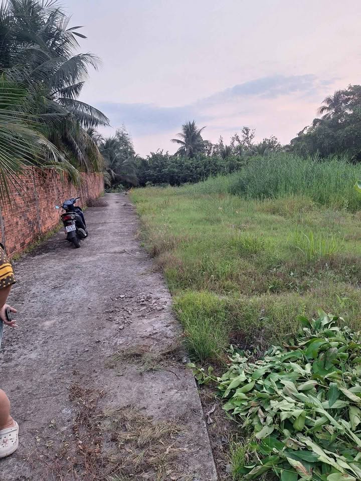 Đất nền Phường Tân An, Long An - 200m² Sổ Hồng Riêng, Ô tô Tới Nhà