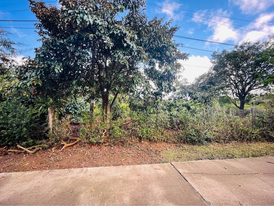 Đất Nền Hẻm Tôn Đức Thắng Pleiku 108m² - Sổ đỏ chính chủ