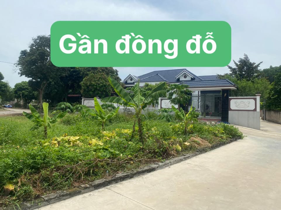 Đất nền Xã Đồng Đỗ, Từ Sơn 150m² - Tiềm năng tăng giá vượt trội!