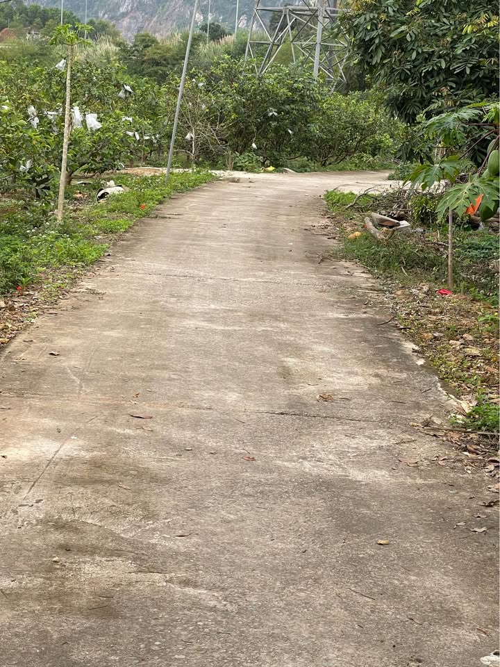 Đất Nền Hạ Long 330m² - Mặt Tiền Rộng 20m, Sẵn Sàng Tách Thửa