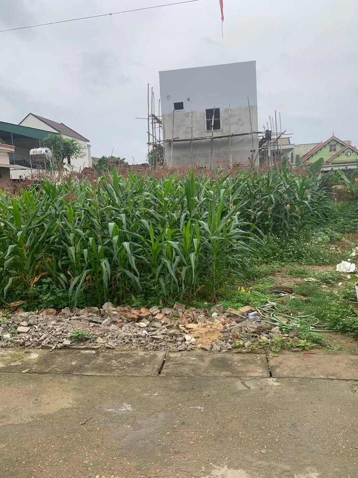 Đất nền Long Sơn, Thái Hòa 107m² - Sổ đỏ sẵn sàng, giá 1.4 tỷ