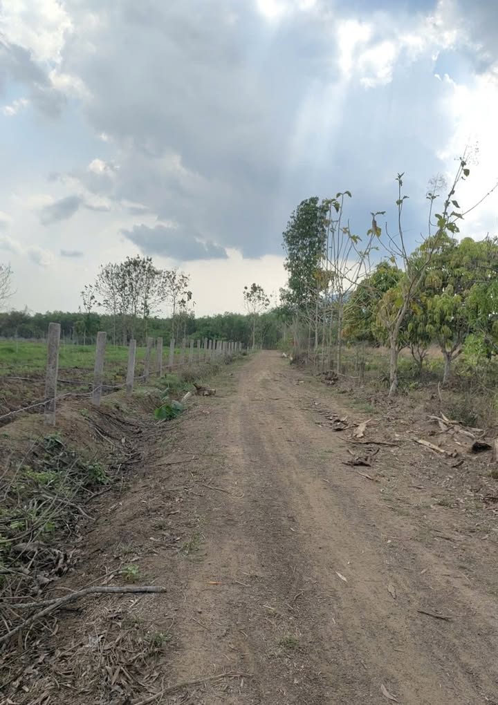 Bán Gấp Đất Xuân Lộc 1725m² Sổ Hồng Sẵn Sàng - Giá 690 Triệu