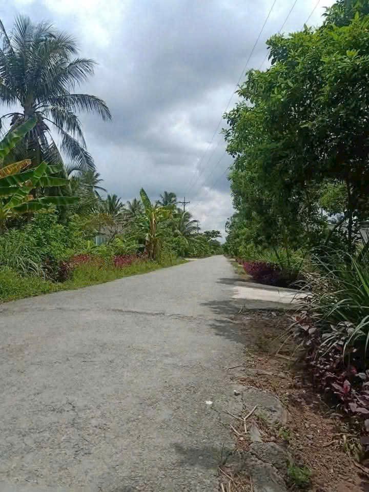 Đất nền Phường Tân Ngãi, TP Vĩnh Long 1202m² - Đường to ô tô