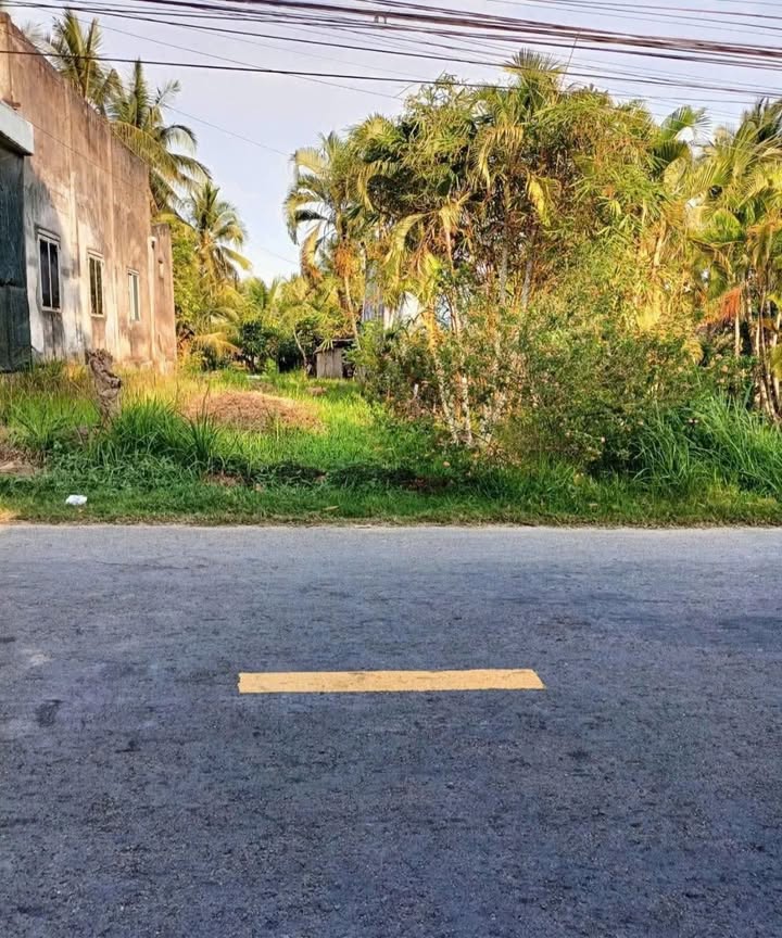 Đất thổ cư 273m² mặt tiền nhựa Châu Hoà, Giồng Trôm, Bến Tre - Giá 1.1 tỷ