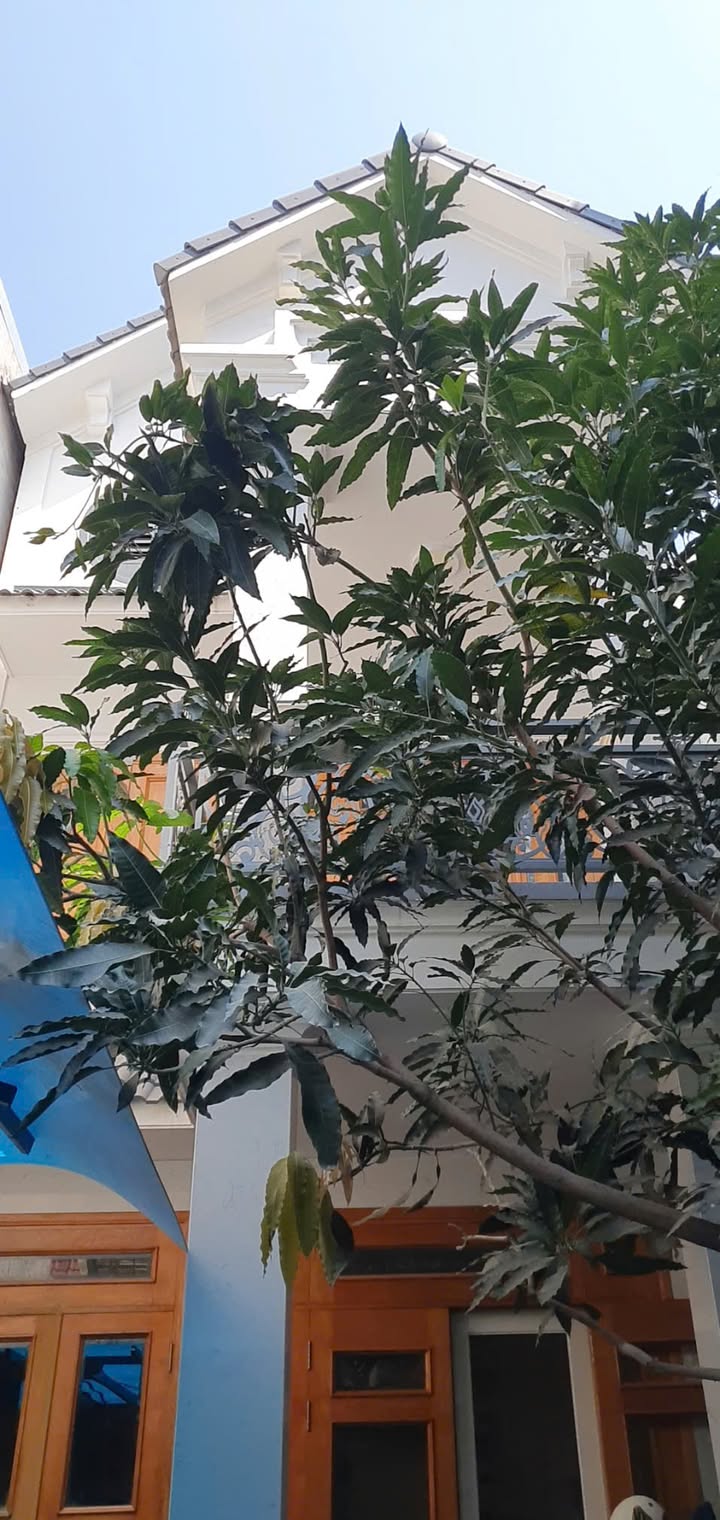 Nhà Phan Xích Long, Phú Nhuận - 105m² 3 Tầng, 5PN - Giá 14.5 Tỷ