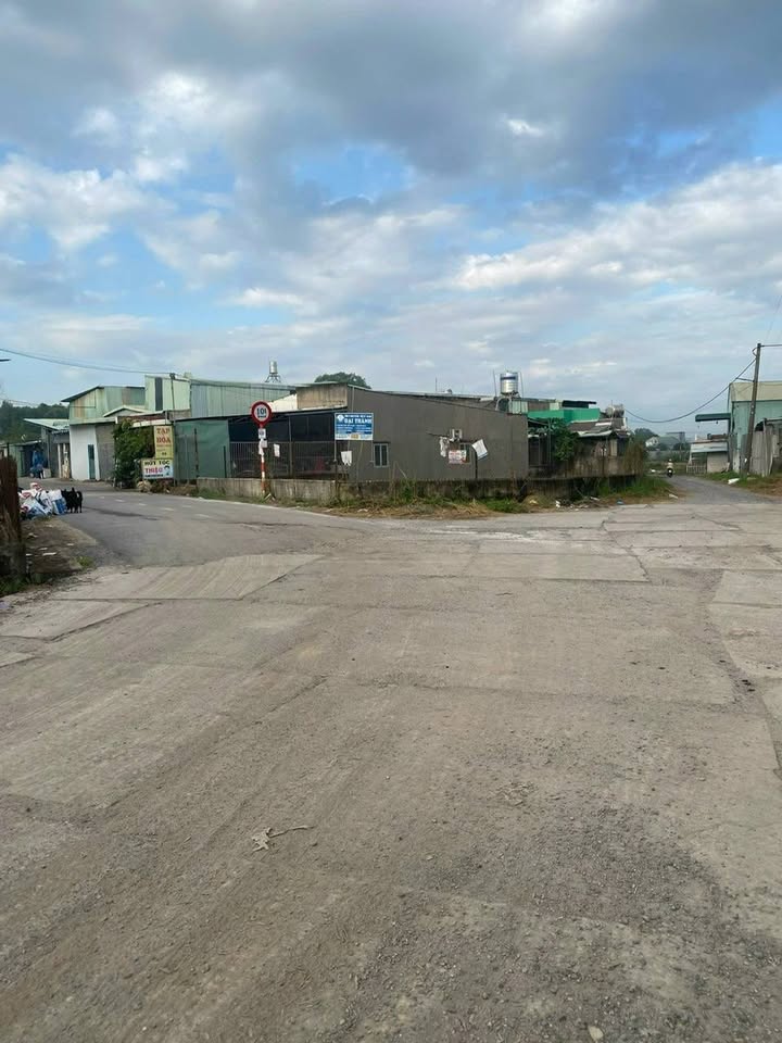 Bán Đất 1000m² Tặng Nhà Cấp 4 Ấp Tân Bắc, Đồng Nai - Sổ Hồng Riêng