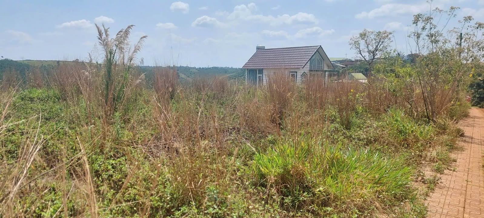 Đất nền Lộc Tân, Bảo Lâm 1000m² - Sổ đỏ chính chủ, view đẹp!