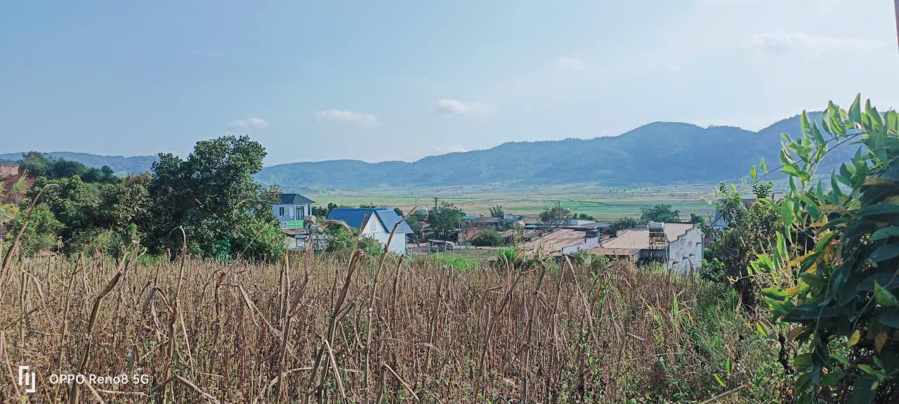 Đất Vườn Tu Tra, Đơn Dương 2200m² - Giá Đầu Tư Tốt!