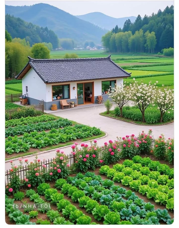 Đất nền Hoài Thanh 850m² - Đường to ô tô, Tiềm năng tăng giá!