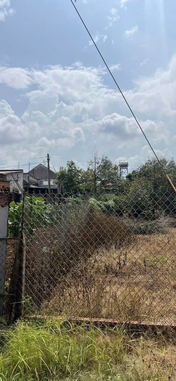 Đất nền Bình Lộc Long Khánh 4300m² - Sổ riêng, lên thổ cư ngay