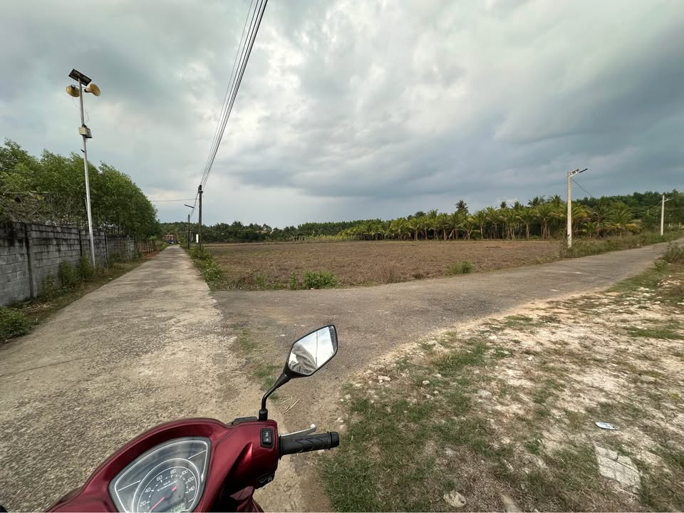 Đất nền mặt tiền nhựa Bình Lộc, Trảng Bom - 364m² Sổ đỏ - Giá 900 triệu