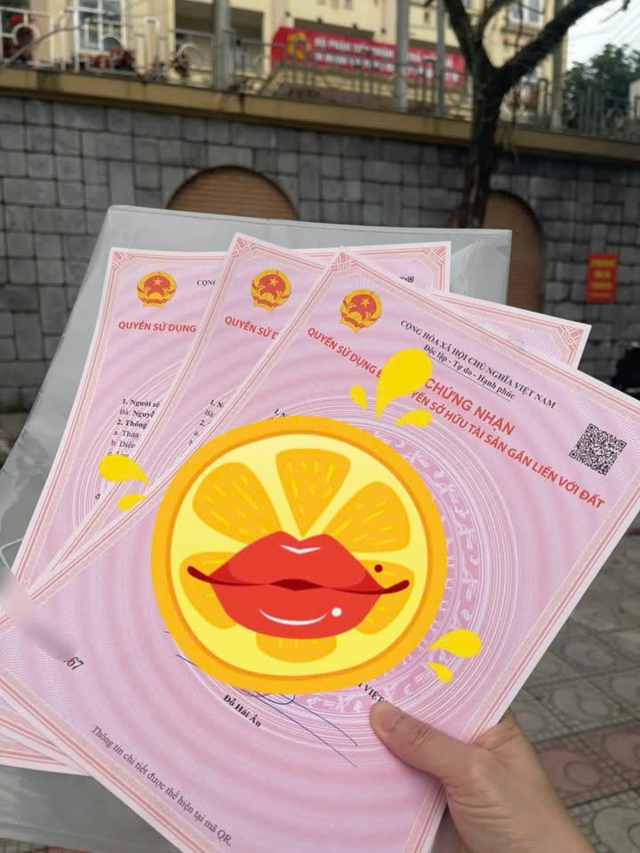 Đất nền Phường Dữu Lâu, Việt Trì 179m² - Tiềm năng tăng giá vượt trội!