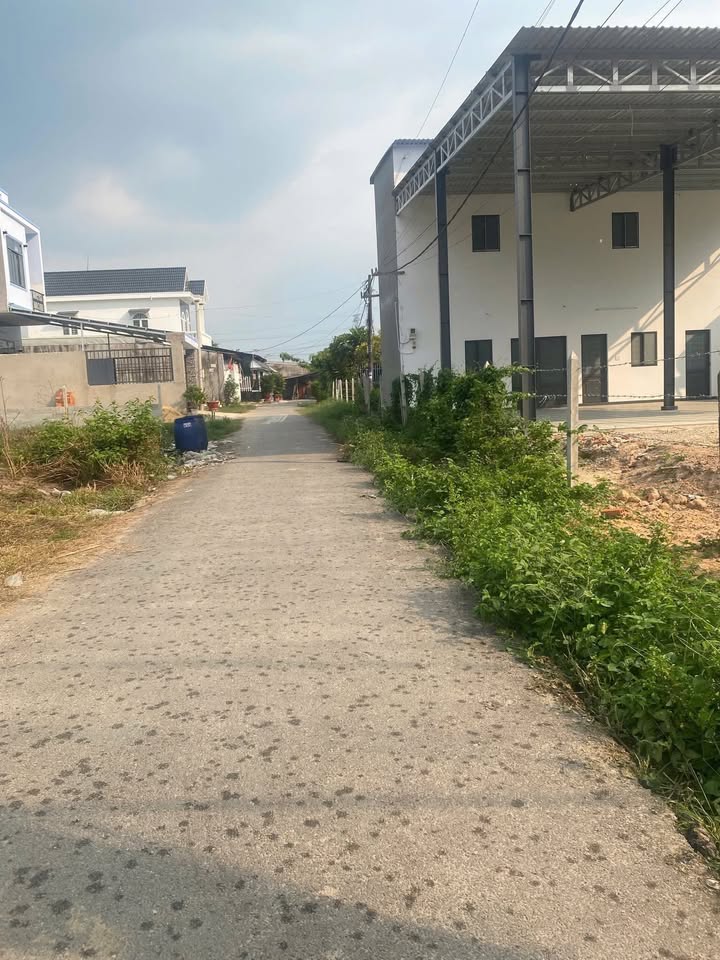 Bán Gấp Đất 162m² Đường 130, Tân Thạnh Đông, Củ Chi - Sẵn Sàng Xây Dựng